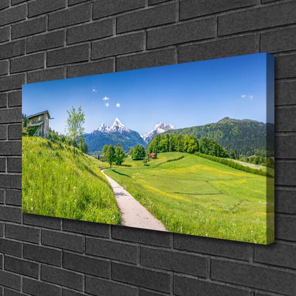Tablou pe panza canvas Meadow Potecă Natura Verde Maro