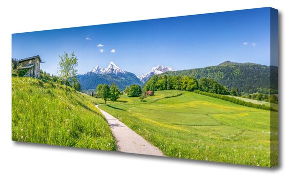 Tablou pe panza canvas Meadow Potecă Natura Verde Maro