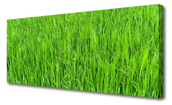 Tablou pe panza canvas Iarbă Natura verde