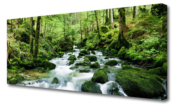 Tablou pe panza canvas Lake Forest Stones Natura Brun Verde Alb