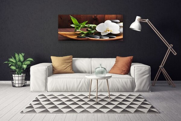 Tablou pe panza canvas Flori de bambus Tube pietre Art Alb Verde Negru
