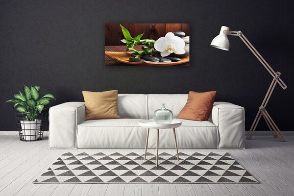 Tablou pe panza canvas Flori de bambus Tube pietre Art Alb Verde Negru