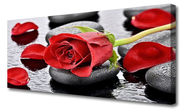 Tablou pe panza canvas Rose pietre Floral Roșu Gri