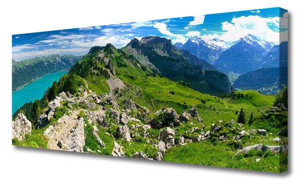 Tablou pe panza canvas Munții Natura Gri Verde