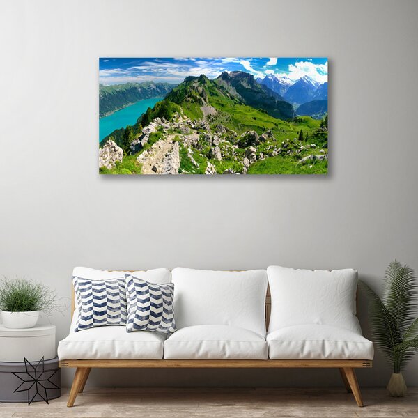 Tablou pe panza canvas Munții Natura Gri Verde