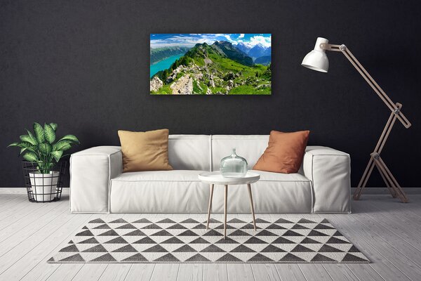 Tablou pe panza canvas Munții Natura Gri Verde