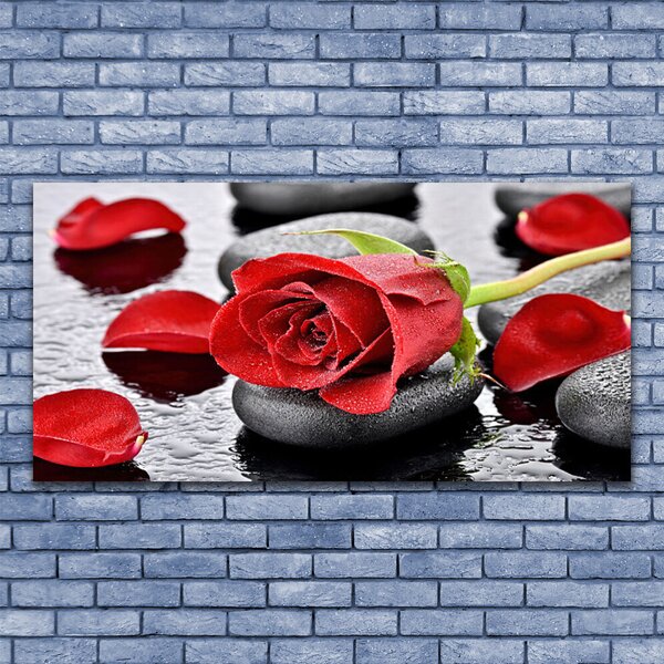 Tablou pe panza canvas Rose pietre Floral Roșu Gri