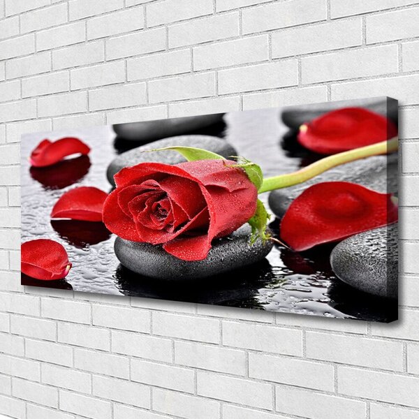 Tablou pe panza canvas Rose pietre Floral Roșu Gri