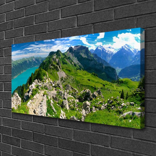 Tablou pe panza canvas Munții Natura Gri Verde
