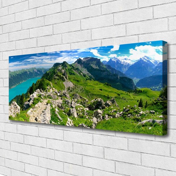 Tablou pe panza canvas Munții Natura Gri Verde
