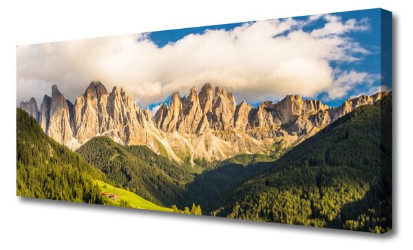 Tablou pe panza canvas Munții Peisaj Brun Verde