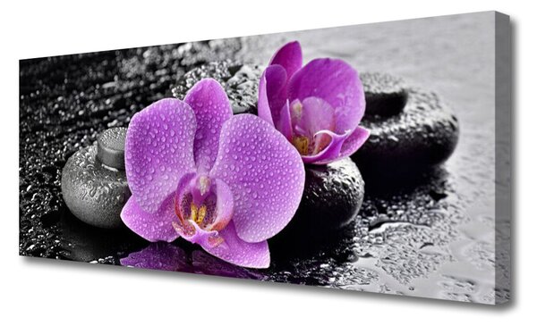 Tablou pe panza canvas Floare pietre Floral Roz Negru Gri