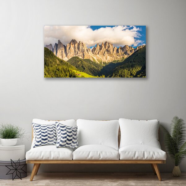 Tablou pe panza canvas Munții Peisaj Brun Verde