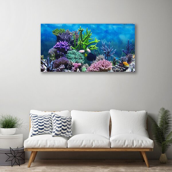 Tablou pe panza canvas Coral Reef Natura Multi