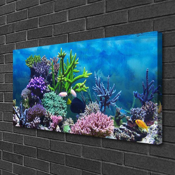 Tablou pe panza canvas Coral Reef Natura Multi