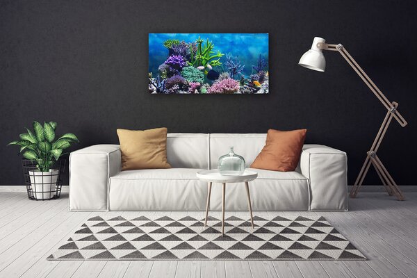 Tablou pe panza canvas Coral Reef Natura Multi