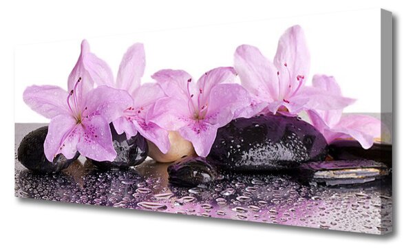 Tablou pe panza canvas Pietrele florale flori roz negru