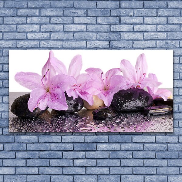 Tablou pe panza canvas Pietrele florale flori roz negru