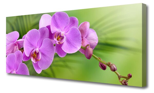 Tablou pe panza canvas Flori Case roz