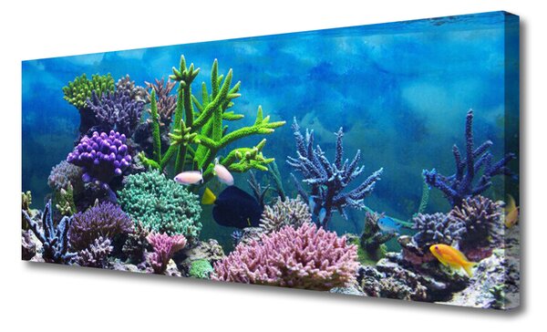 Tablou pe panza canvas Coral Reef Natura Multi