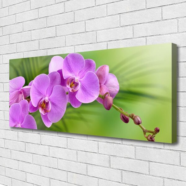 Tablou pe panza canvas Flori Case roz