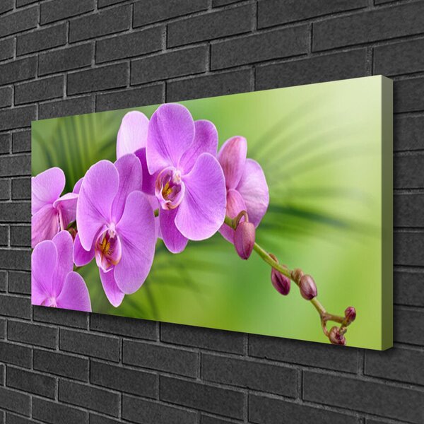 Tablou pe panza canvas Flori Case roz