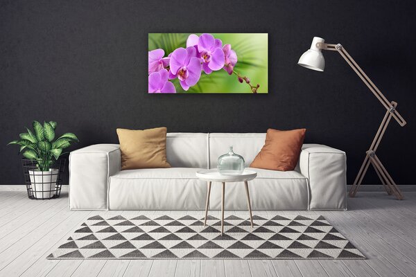 Tablou pe panza canvas Flori Case roz