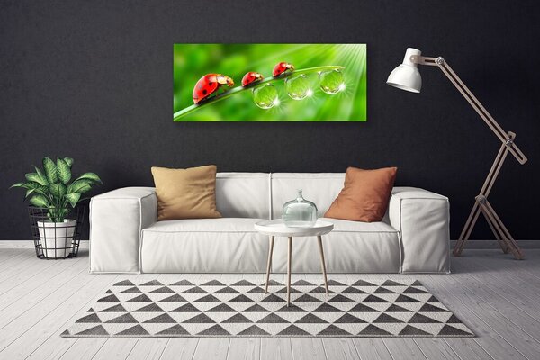 Tablou pe panza canvas Iarbă gărgăriță picături de rouă Floral Verde Negru Roșu