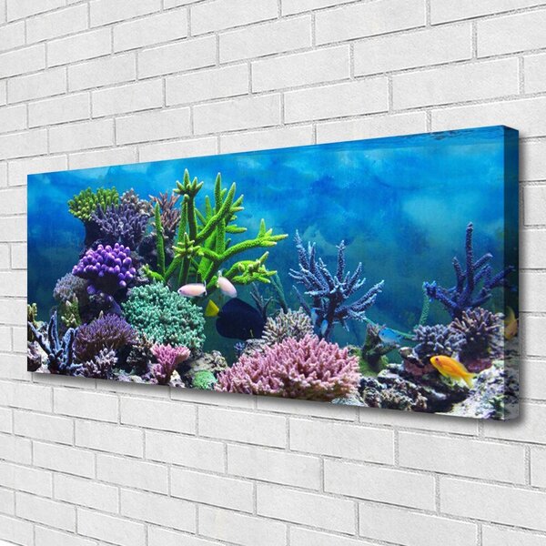 Tablou pe panza canvas Coral Reef Natura Multi