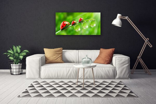Tablou pe panza canvas Iarbă gărgăriță picături de rouă Floral Verde Negru Roșu