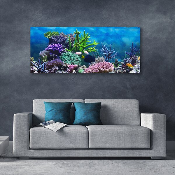 Tablou pe panza canvas Coral Reef Natura Multi