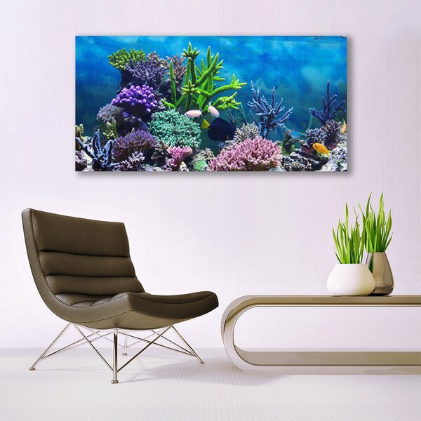 Tablou pe sticla Coral Reef Natura Multi