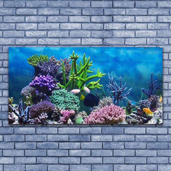 Tablou pe sticla Coral Reef Natura Multi
