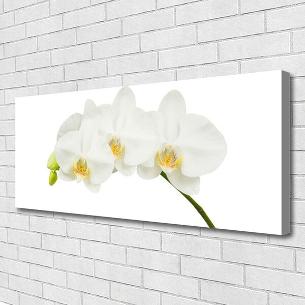 Tablou pe panza canvas Flori Floral alb