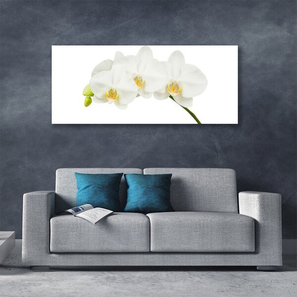 Tablou pe panza canvas Flori Floral alb