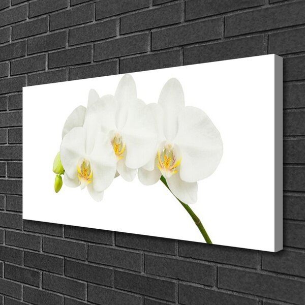 Tablou pe panza canvas Flori Floral alb