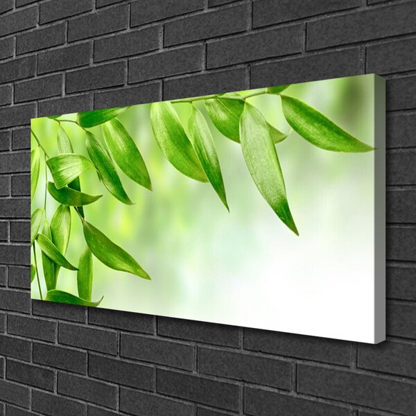 Tablou pe panza canvas Frunze verde florale