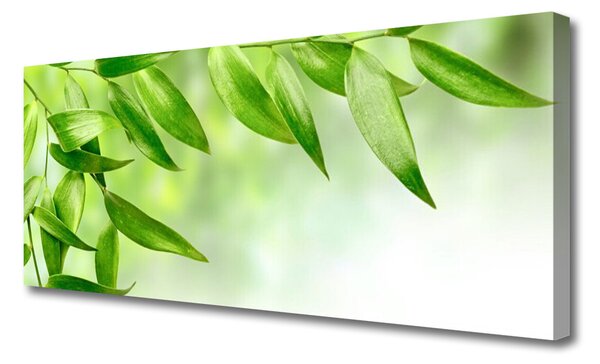 Tablou pe panza canvas Frunze verde florale