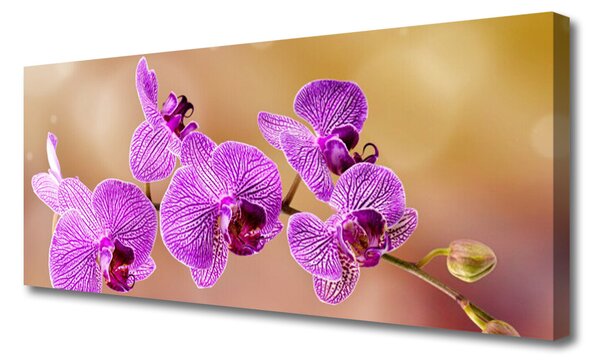 Tablou pe panza canvas Flori roz Floral