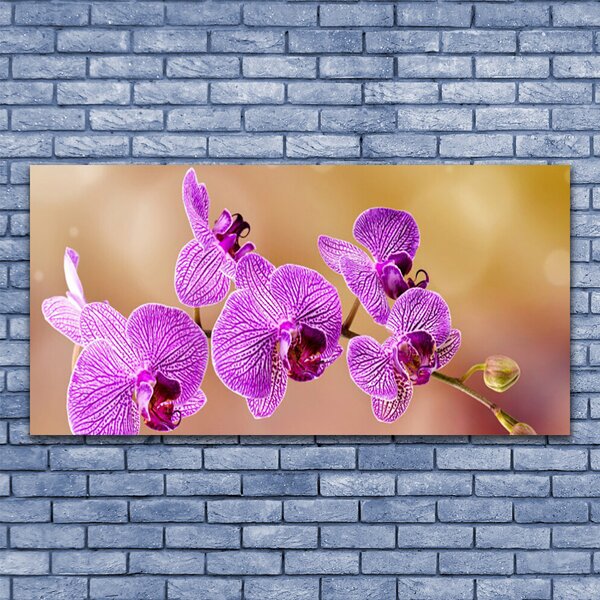 Tablou pe sticla Flori roz Floral