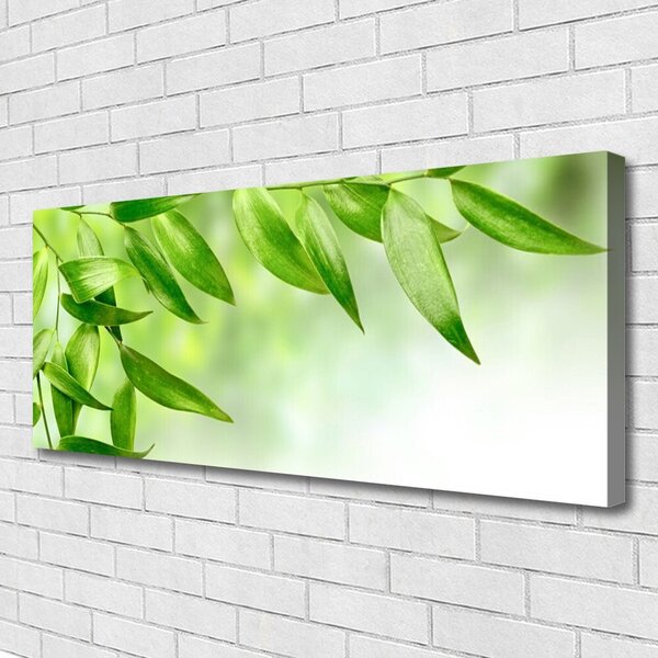 Tablou pe panza canvas Frunze verde florale