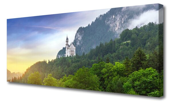 Tablou pe panza canvas Munții Peisaj Forestier Verde Gri