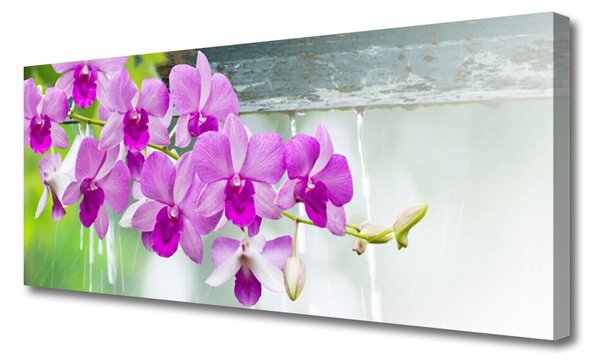 Tablou pe panza canvas Flori roz Floral