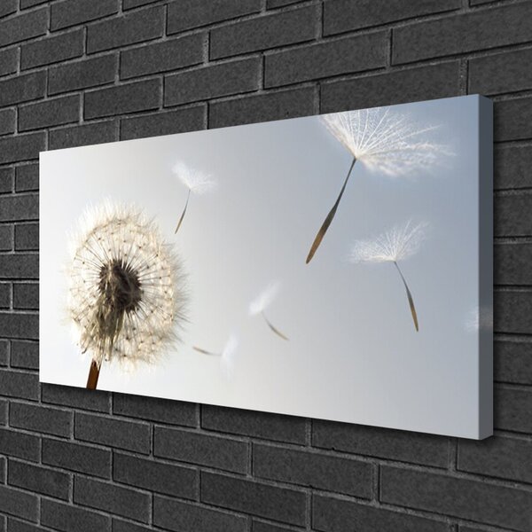 Tablou pe panza canvas Păpădie Floral Alb Gri