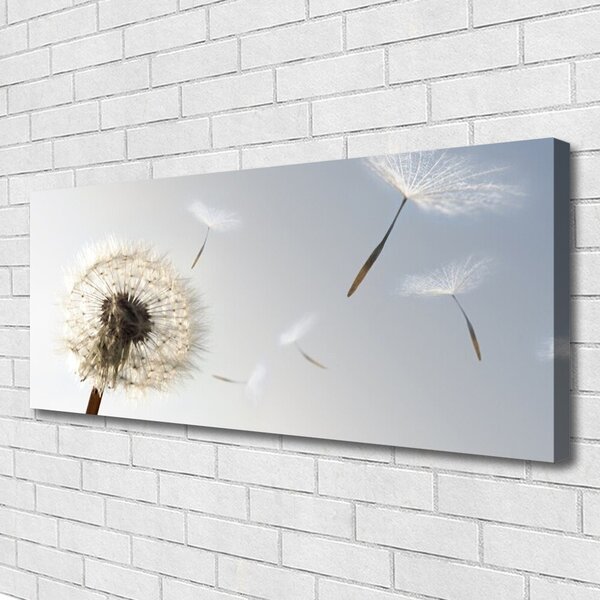 Tablou pe panza canvas Păpădie Floral Alb Gri