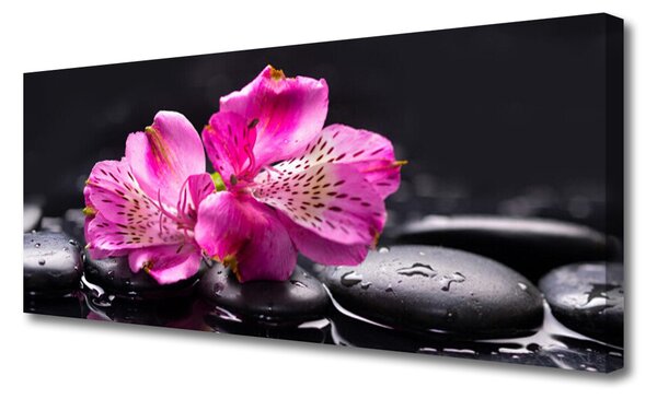 Tablou pe panza canvas Pietrele florale flori Roșu Negru