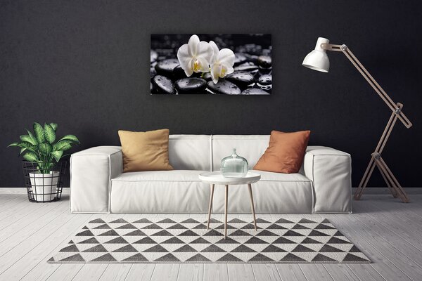 Tablou pe panza canvas Pietrele de flori Arta Alb Negru