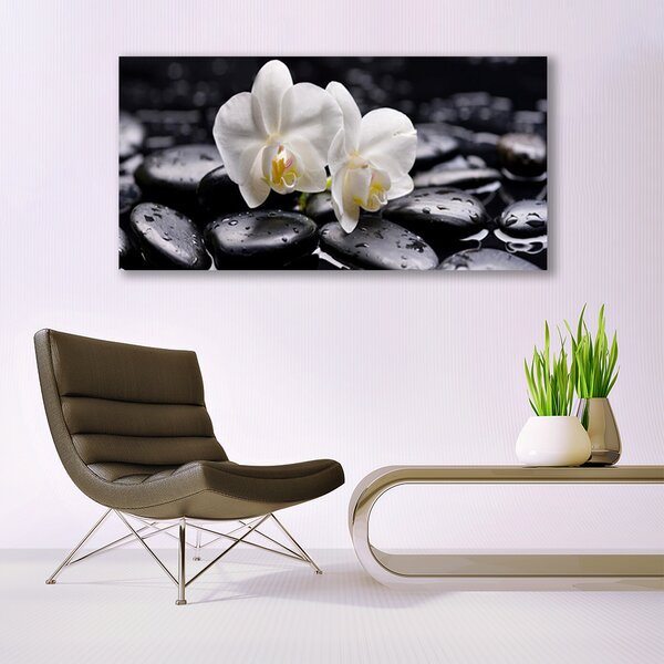Tablou pe panza canvas Pietrele de flori Arta Alb Negru