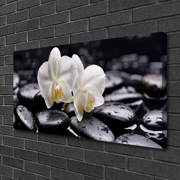 Tablou pe panza canvas Pietrele de flori Arta Alb Negru