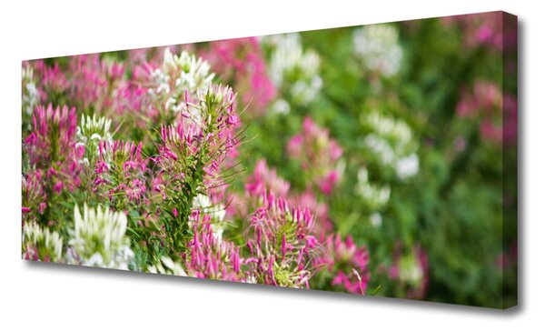 Tablou pe panza canvas Flori Floral Roz Alb Verde